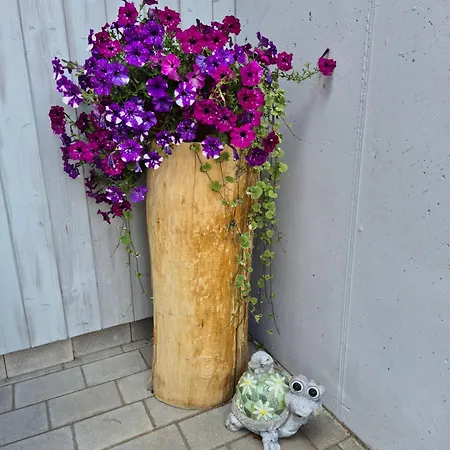 Haus Beutle Apartmán *