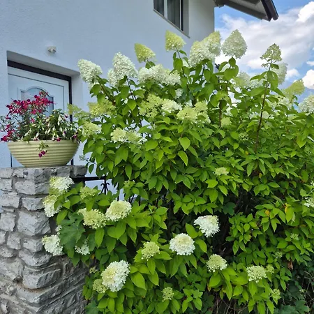 Haus Beutle Apartmán *